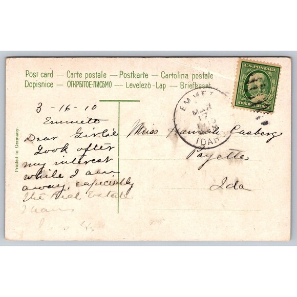 Postcard Antique Two Kittens Watching Butterflies Bows Posted 1910 Emmet Idaho - Picture 2 of 2